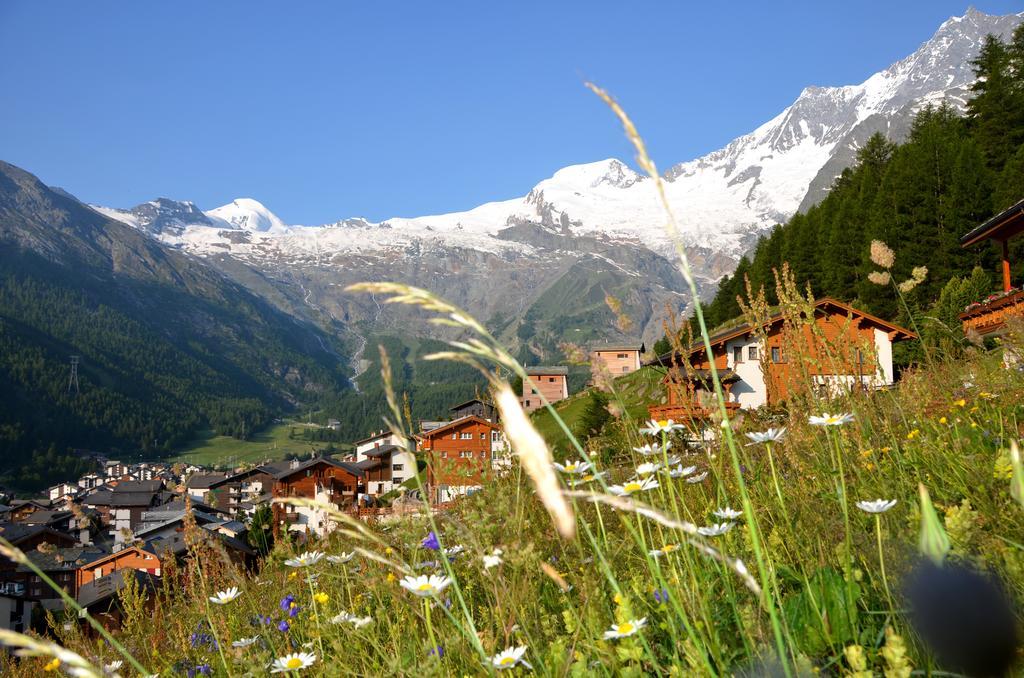 Apartamento Waldrain 2 Saas-Fee Exterior foto